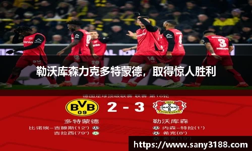 qy球友会体育网站